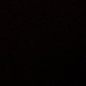 Meet your Posher, Willis